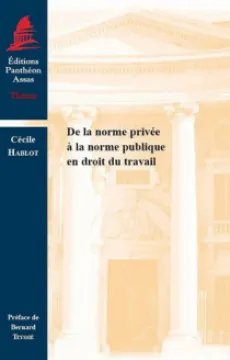de-la-norme-privee-a-la-norme-publique-en-droit-du-travail-9791090429338.jpg