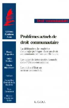 problemes-actuels-de-droit-communautaire-coll-droit-communautaire-9782275016931.jpg