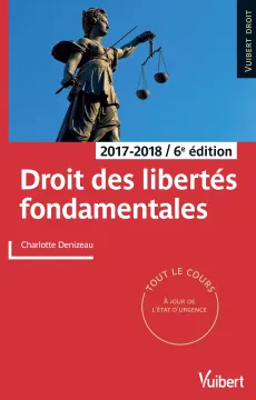 2017_droit_des_libertes_fondamentales.jpg