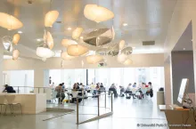 Cotutelles de thèses